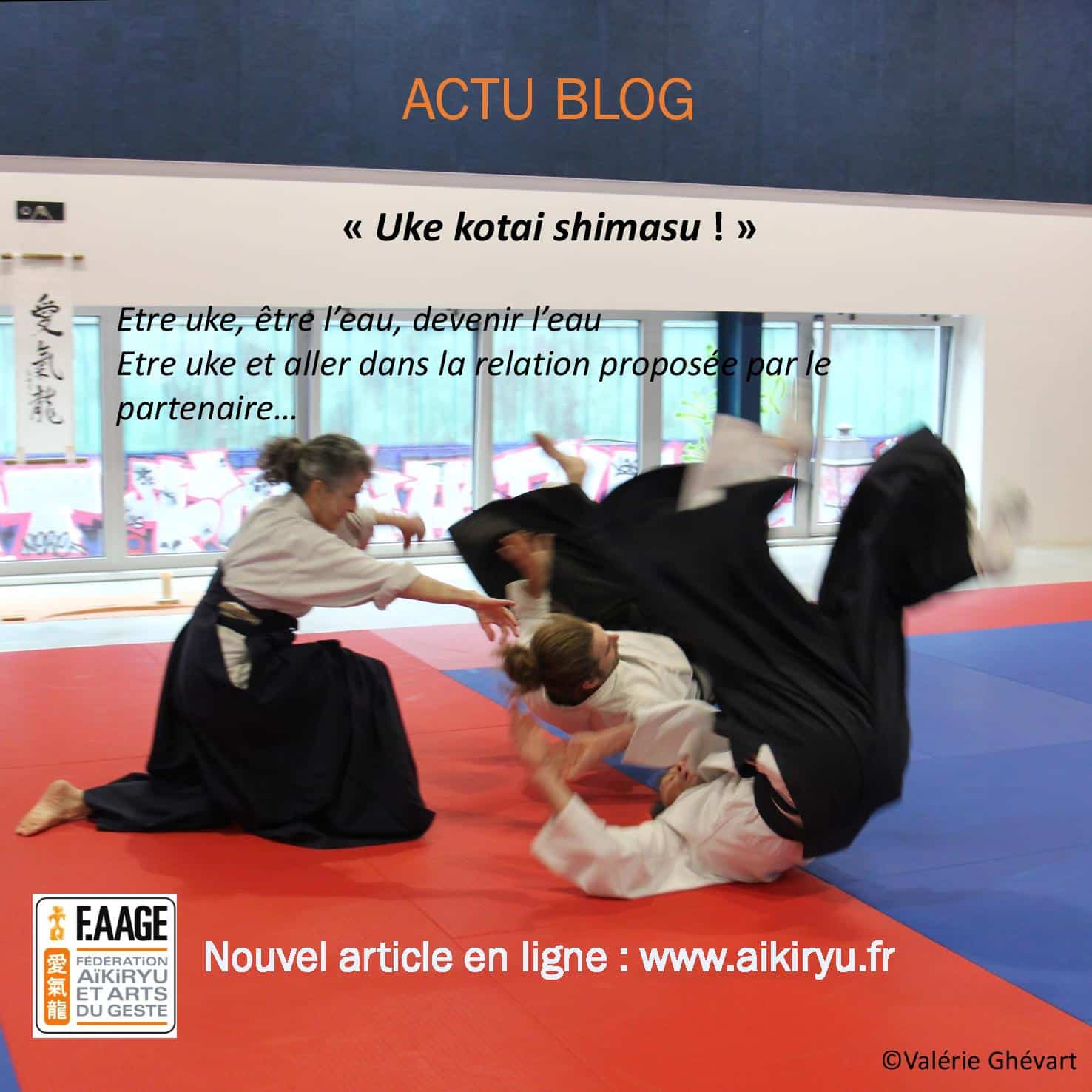 Lire la suite à propos de l’article « Uke kotai shimasu ! »