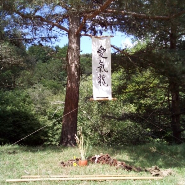 You are currently viewing Aïkiryu en chemin cet été : Célébration des 10 ans et marche !