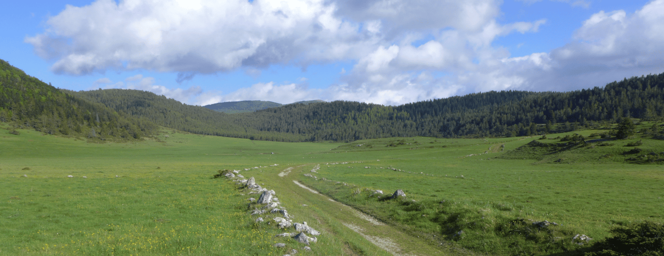 You are currently viewing 4 heures de marche – pratique du Taïso – Témoignages