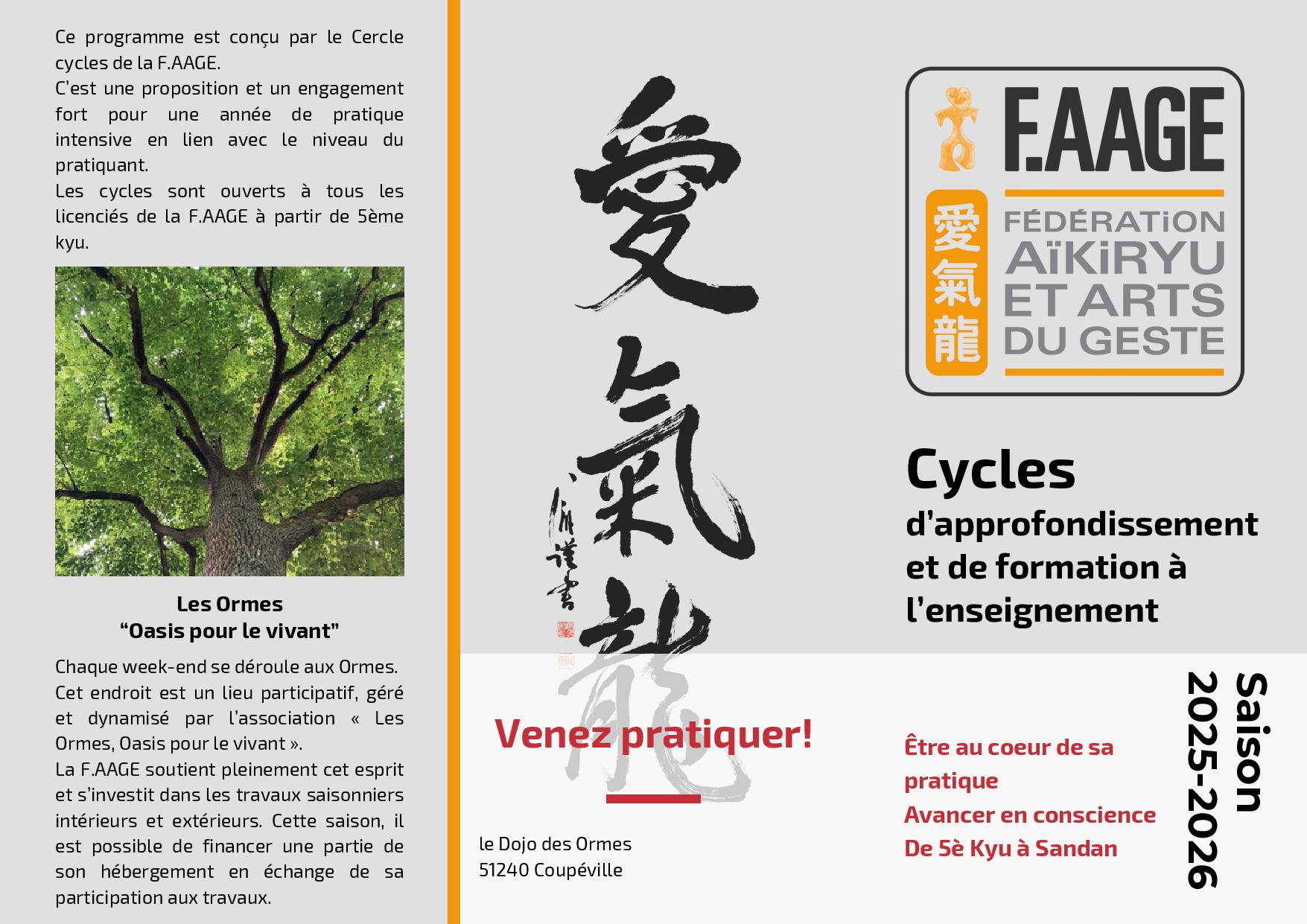 You are currently viewing Les cycles d’approfondissement et de formation à l’enseignement de l’Aïkiryu pour la saison 2025-2026